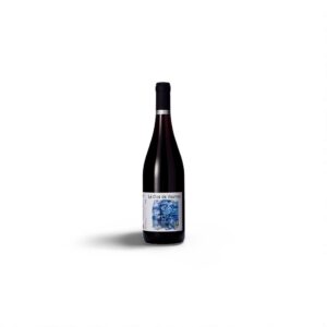 Domaine Ricard Touraine Gamay